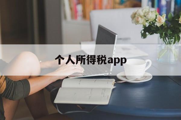 个人所得税app(个人所得税app下载官方免费下载安装)