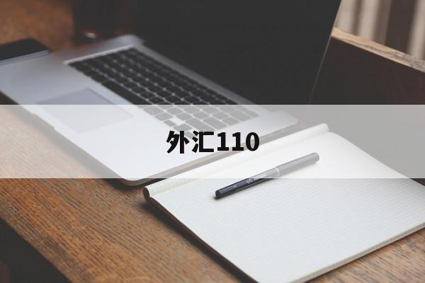 外汇110(外汇110官网在线查询)